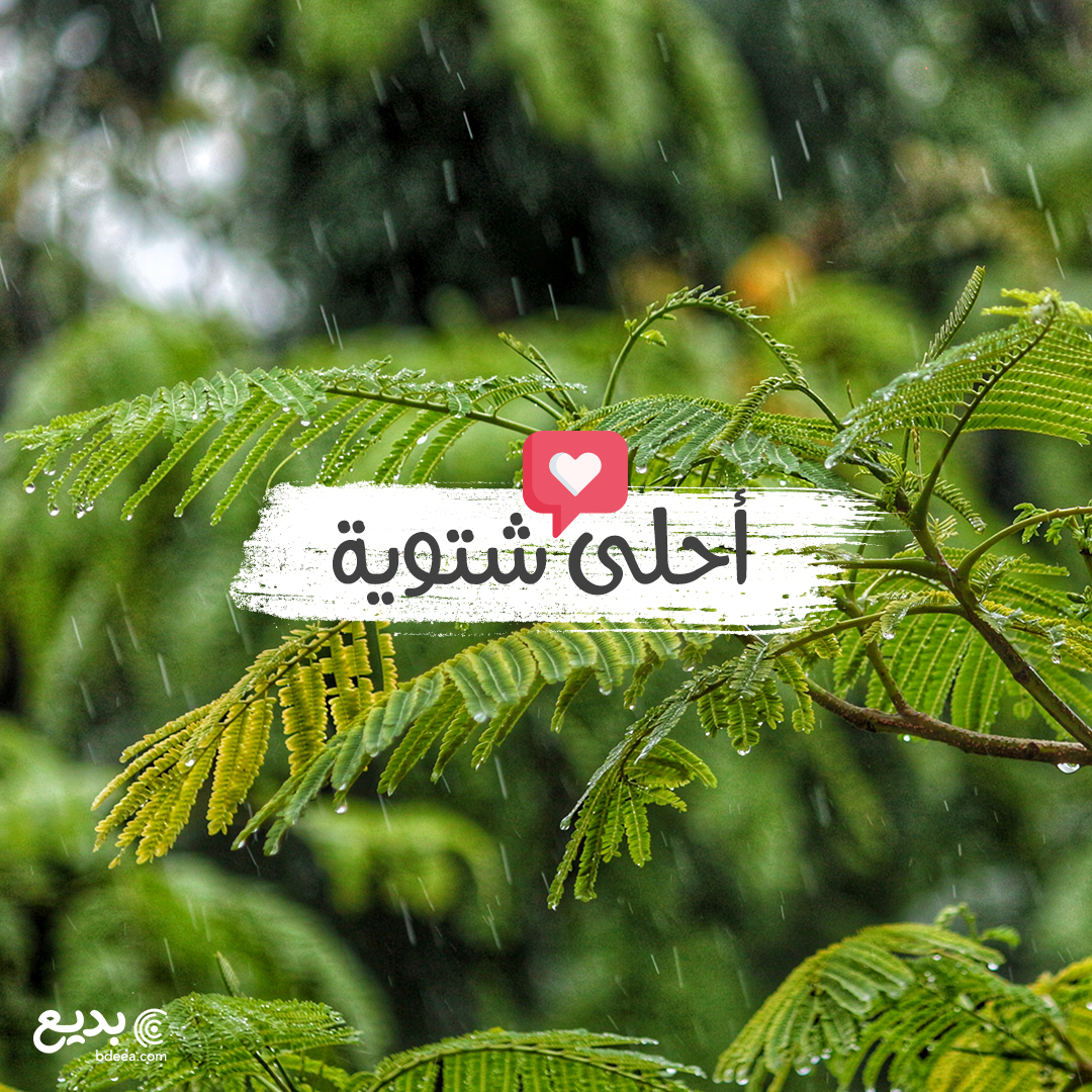 تصميم أحلى شتوية جميل لاجواء الشتاء jpg