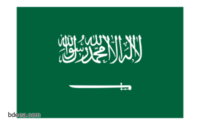 صورة علم المملكة العربية السعودية مفرغ KSA flag png