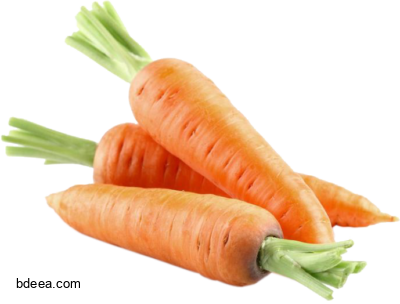 صورة جزرة عالية الدقة بدون خلفية Three carrot vegetables png