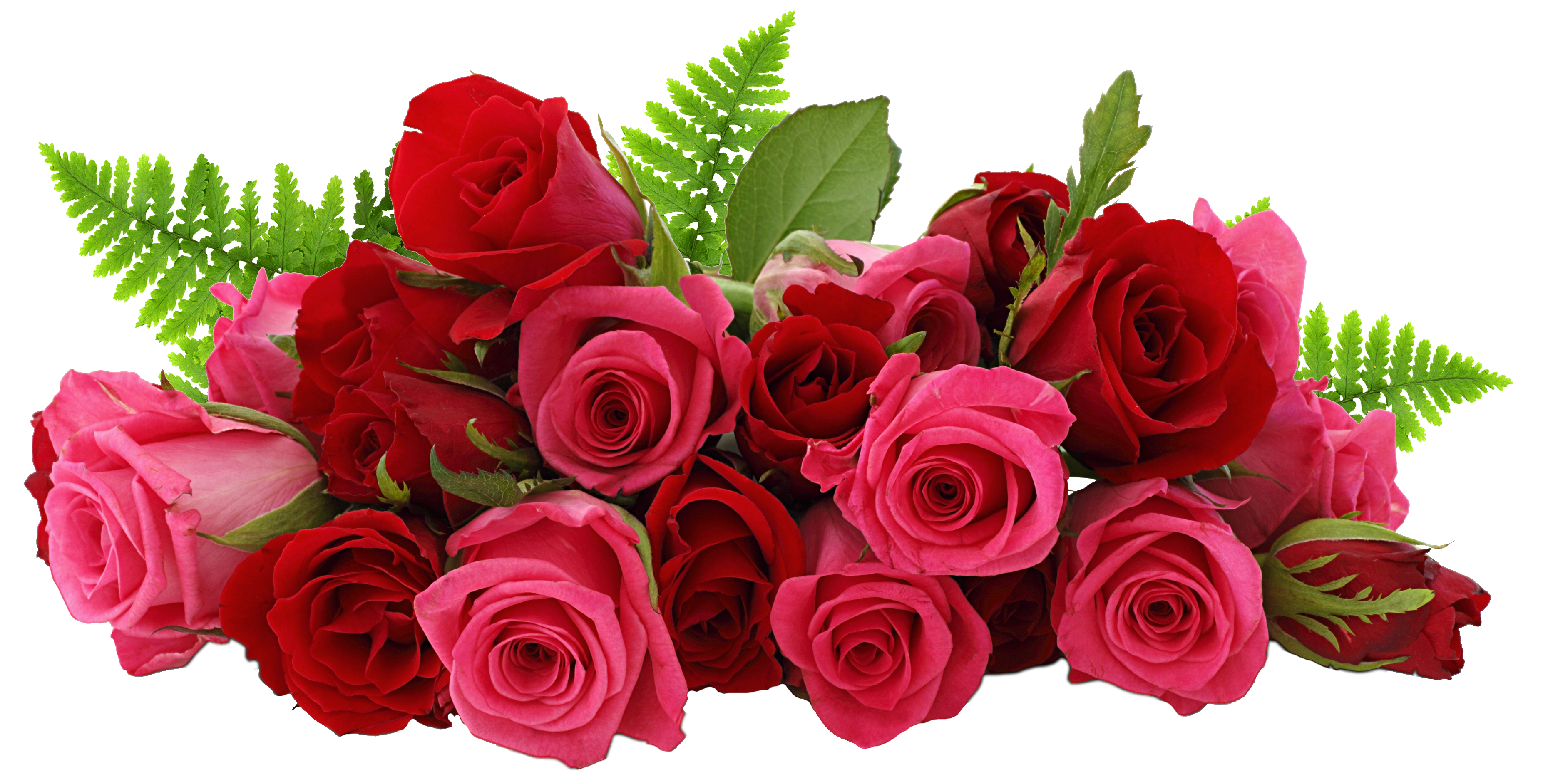 صورة بوكيه ورود احمر وزهري جميلة red and pink roses png