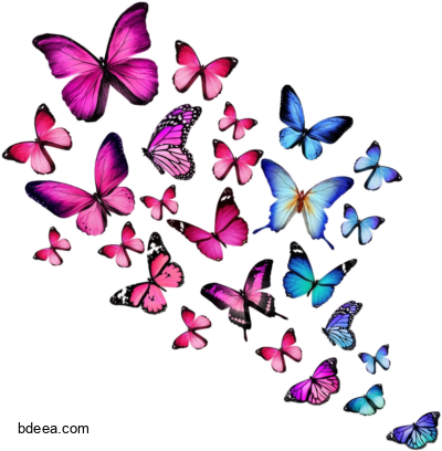 صورة فراشات طائرة ملونة ازرق وبنفسجي butterfly purple blue png