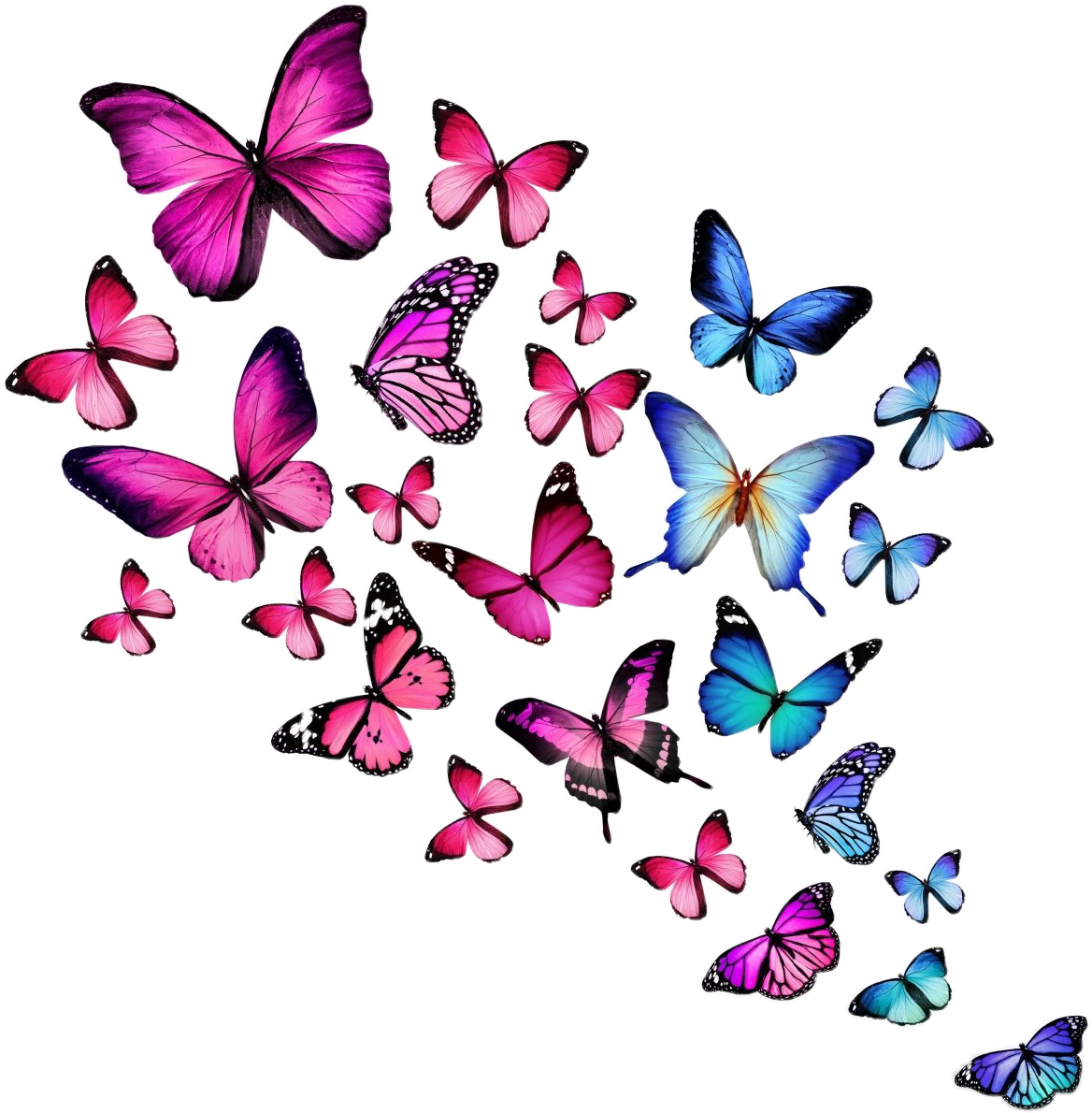 صورة فراشات طائرة ملونة ازرق وبنفسجي butterfly purple blue png