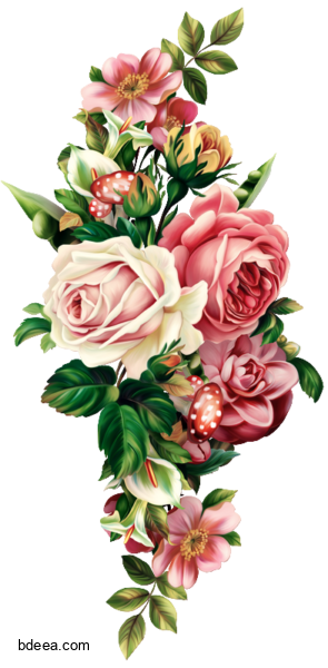 صورة بوكيه ورود رسم جميل Flower bouquet graphy png