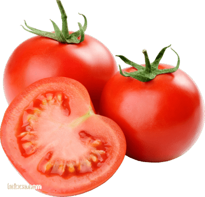 صورة بندورة طماطم بدون خلفية Red Tomatoes png