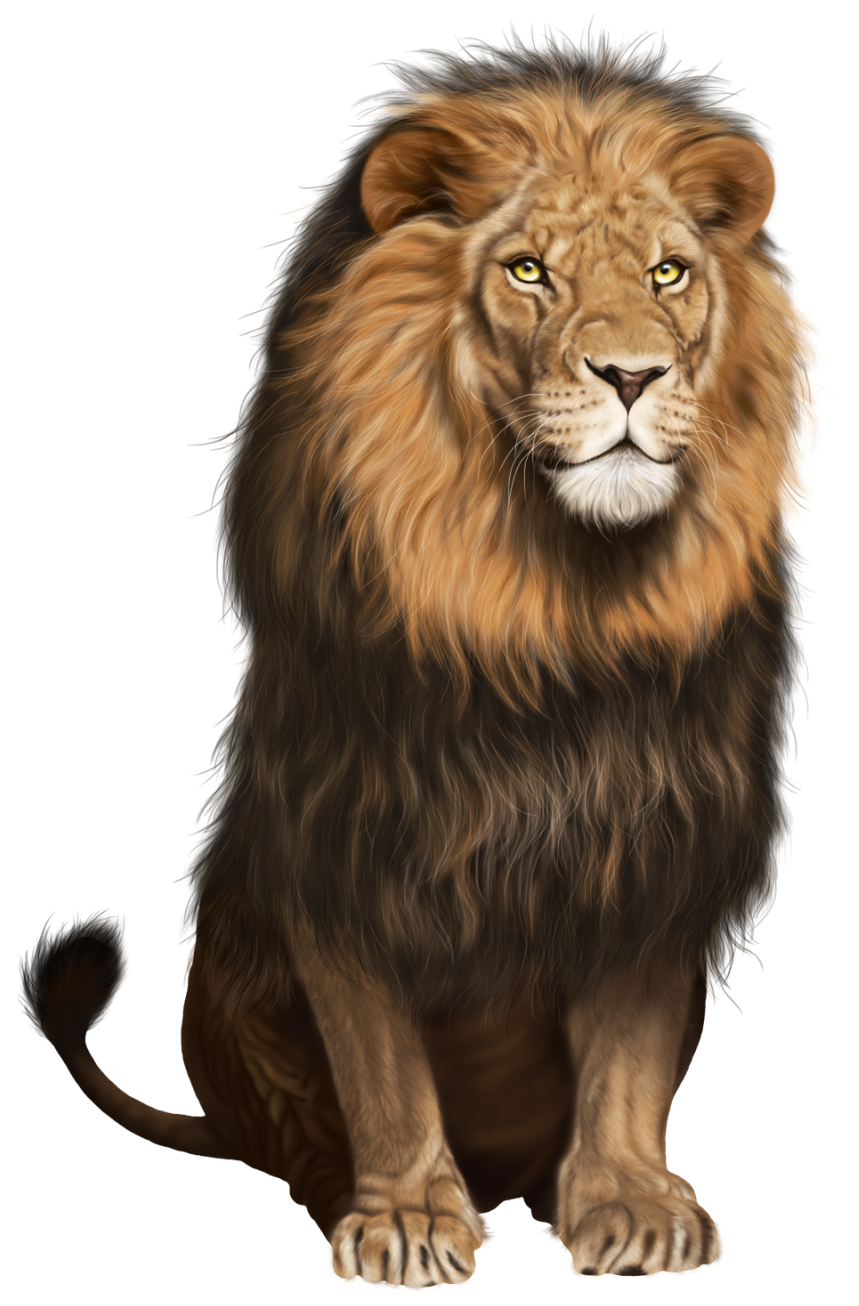 صورة اسد الغابة عالية الدقة بدون خلفية Lion png
