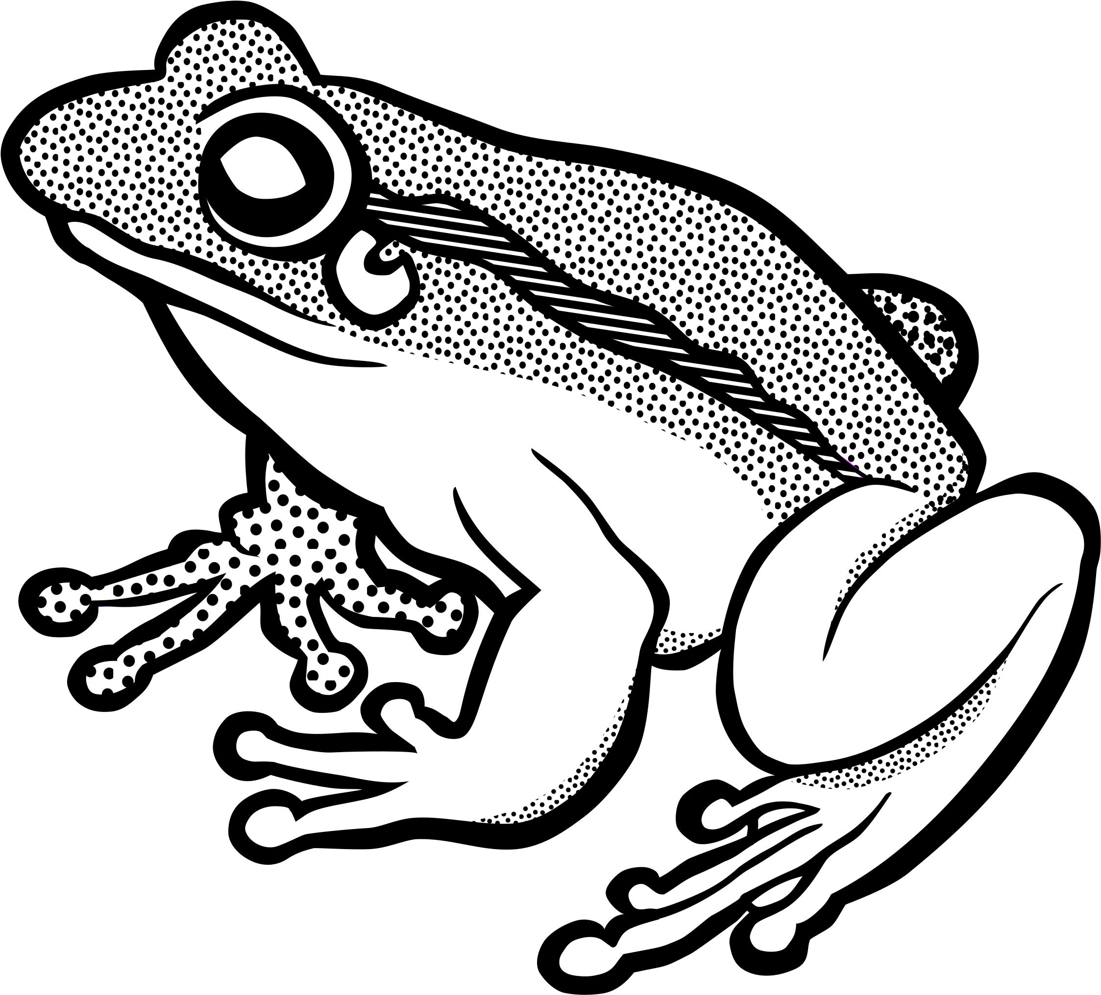 رسمة ضفدع للتلوين frog drawing transparent png