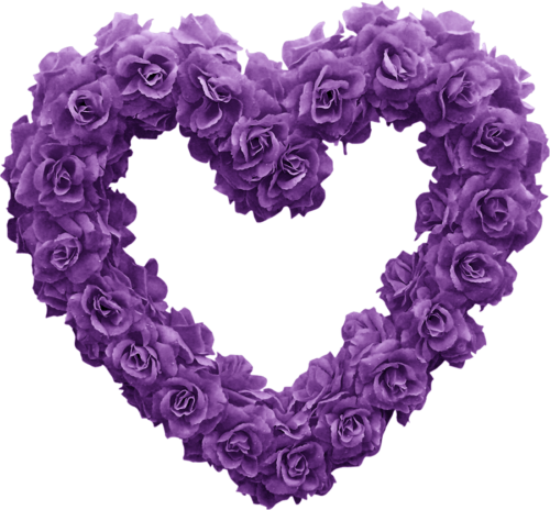 شكل رأس قلب ورود بنفسجية جميل purple heart png