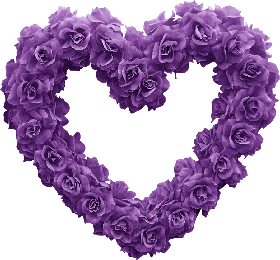 شكل رأس قلب ورود بنفسجية جميل purple heart png