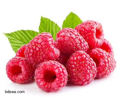 صورة توت العليق الاحمر عالية الدقة فاكهة التوت Red Raspberries