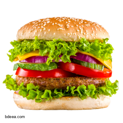 صورة وجبة همبرجر بالخضار عالية الدقة Hamburger png