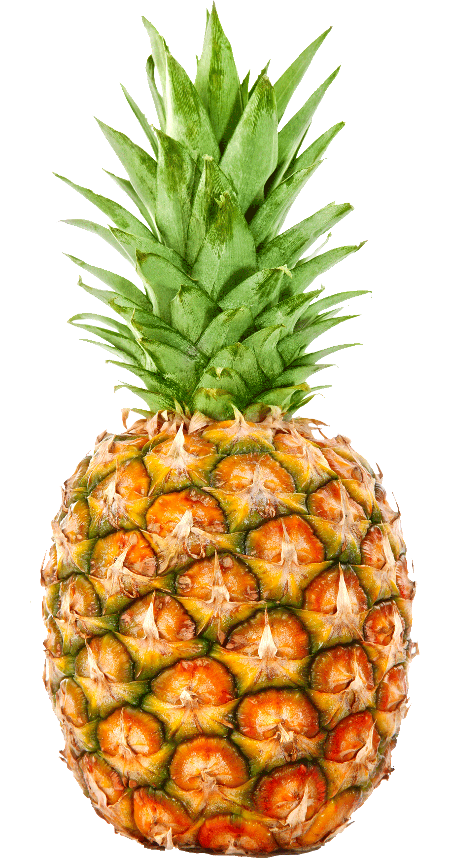 تحميل صورة اناناس عالية الدقة Pineapple png