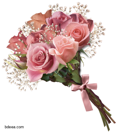بوكيه ورد لطيف وجميل Flower bouquet Rose png
