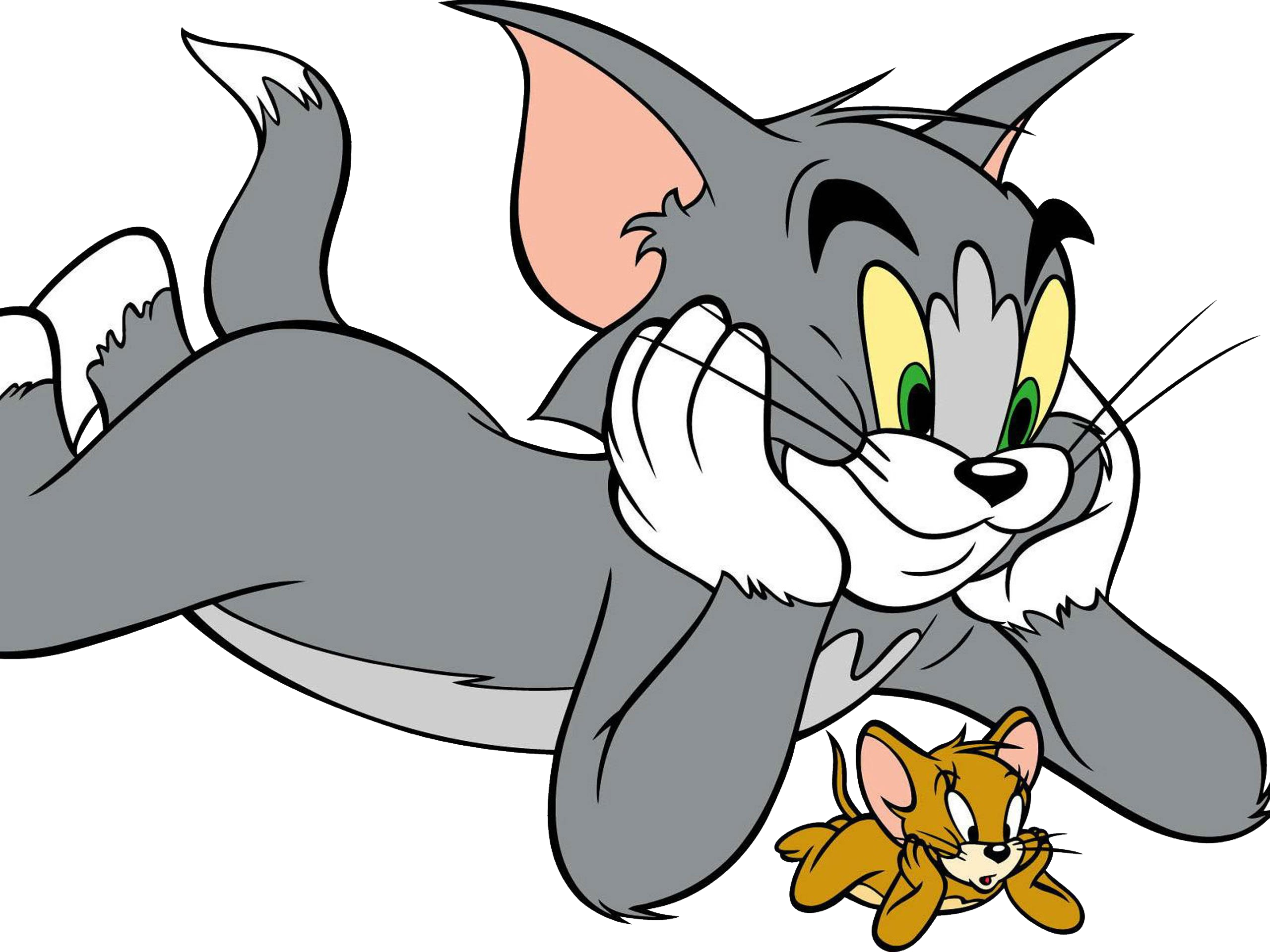 صورة توم اند جيري القط والفأر توم وجيري عالية الدقة  Tom And Jerry PNG