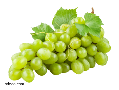صورة عنب ابيض عالية الدقة دالية العنب Bunch of white grapes png