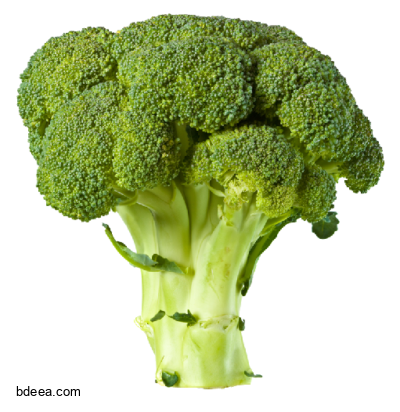 صورة بروكلي عالية الدقة Broccoli Food Vegetable png