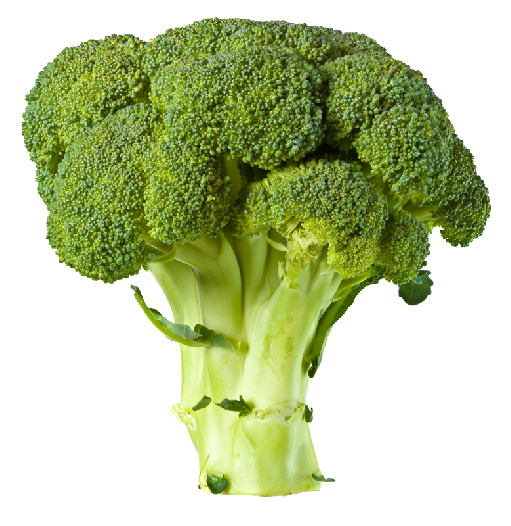 صورة بروكلي عالية الدقة Broccoli Food Vegetable png