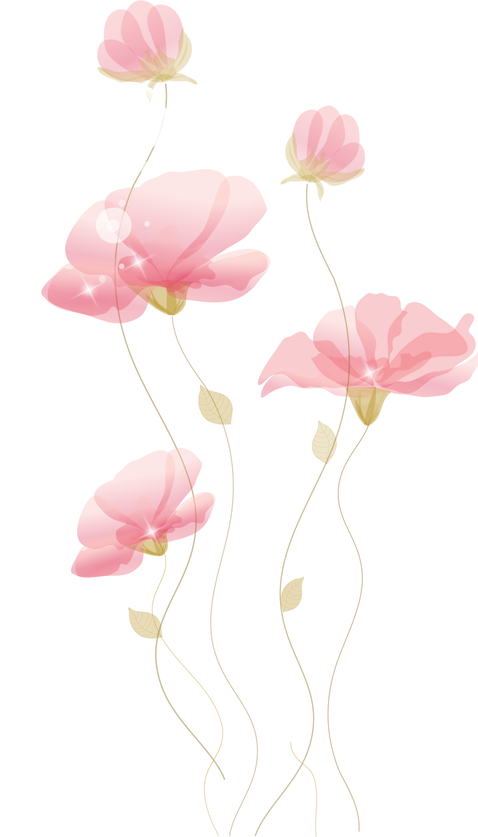 صور زهور جميلة رسم Hand-painted flowers png