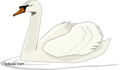 صورة بجعة طائر البجع رسم شكل بجعة كرتون Swan PNG