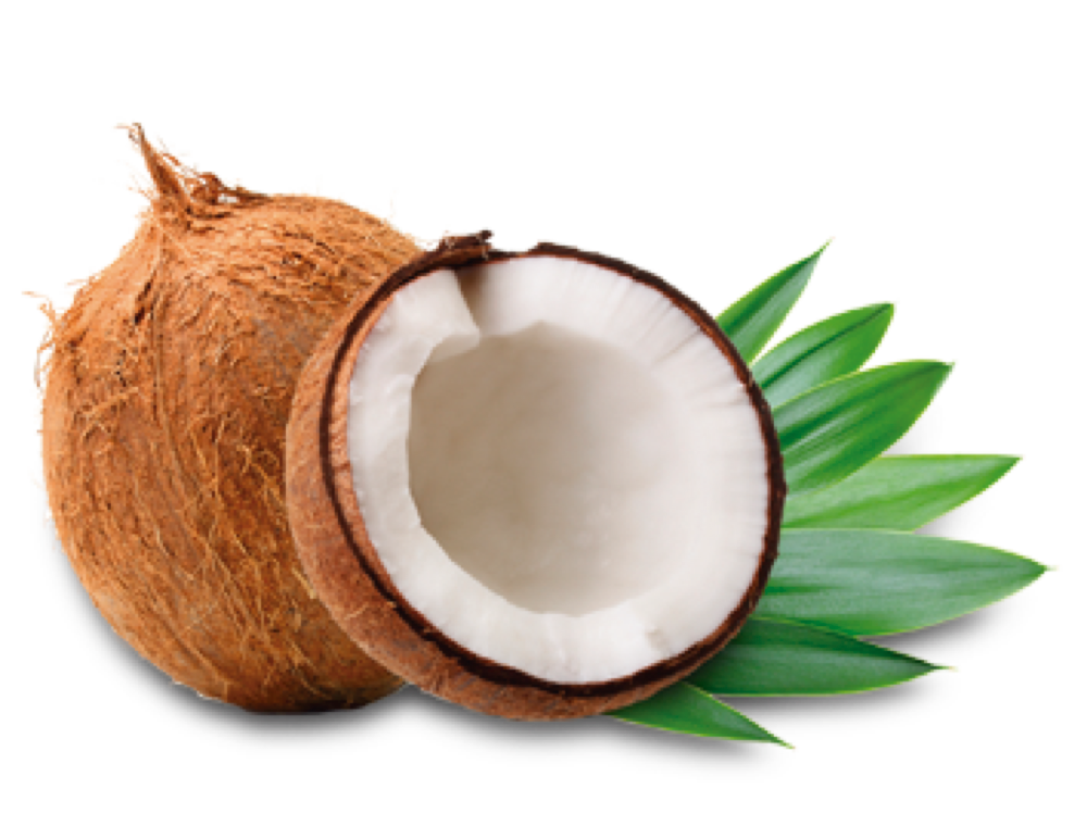 صورة فاكهة جوز الهند عالية الدقة بدون خلفية Coconut milk png