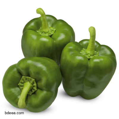 صورة فلفل حلو فليفلة لون اخضر خضار عالية الدقة green bell peppers png