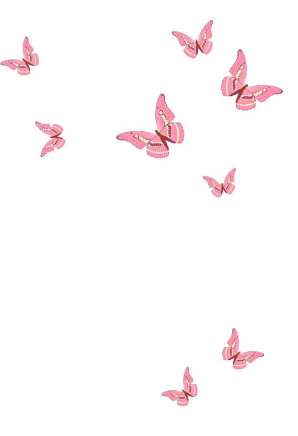 صورة فراشات تطير جميلة لون زهري فراش لون زهر Flying Pink Butterfly PNG