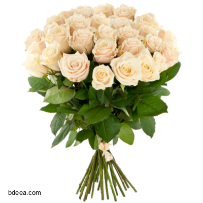 صورة بوكيه ورد عالي الدقة بدون خلفية Flower bouquet Garden roses png