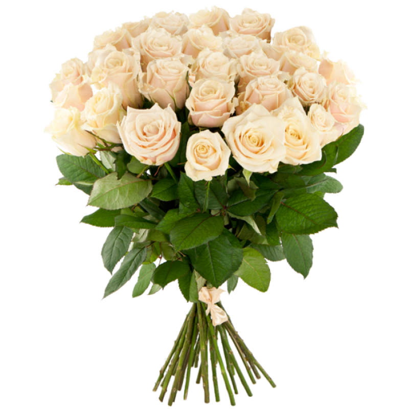 صورة بوكيه ورد عالي الدقة بدون خلفية Flower bouquet Garden roses png