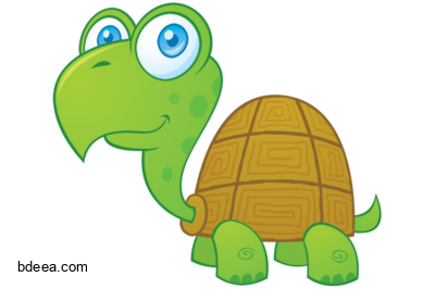 صورة سلحفاة خضراء رسم كرتونية جميلة Green Turtle png