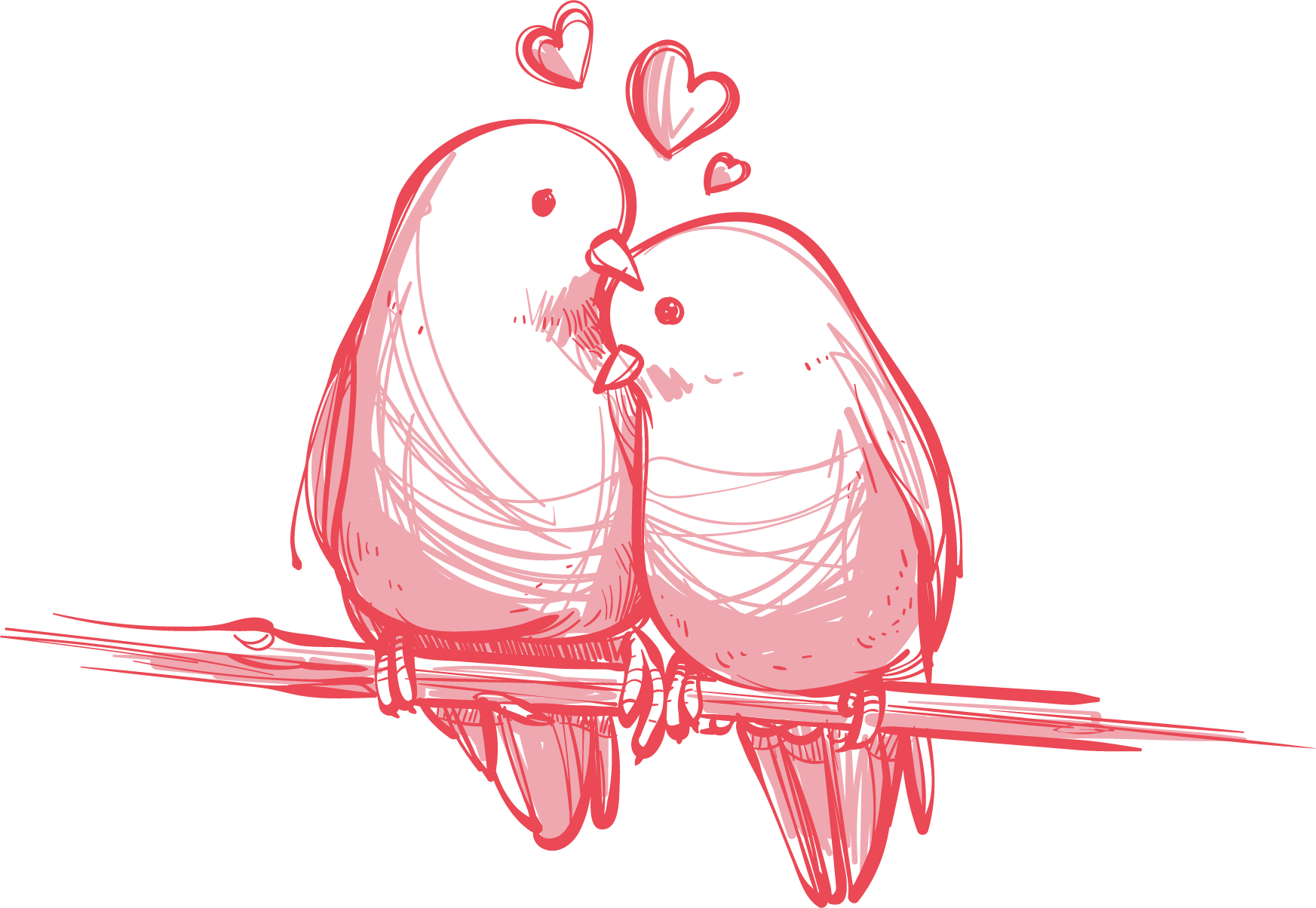 صورة طيور الحب رسم يدوي حمراء جميلة ترمز للحب Love birds hand-painted