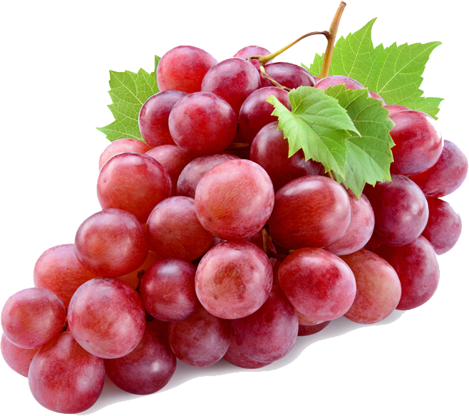 صورة قطف عنب احمر فاكهة العنب بدون خلفية عالية الدقة red grapes png