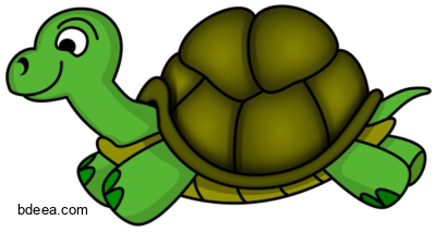 تحميل صورة سلحفاة خضراء سلحفاة رسم كرتون لون اخضر Green Turtle png