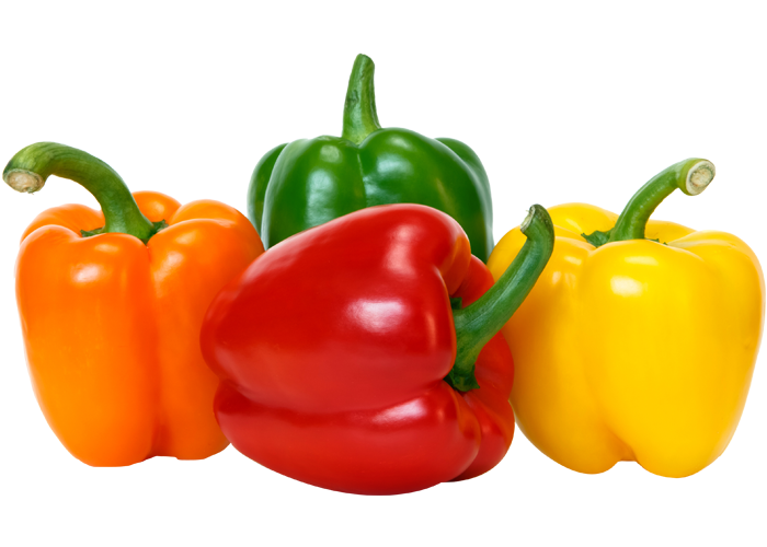 صورة فلفل حلو ملونة فليفلة خضار عالية الدقة Red yellow green bell peppers png