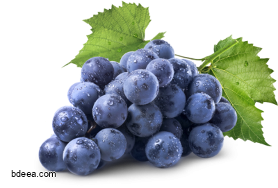 صورة عنب اسود لذيذ عالية الدقة العنب الاسود Black Grape fruit