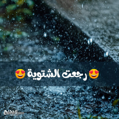 تصميم رجعت الشتوية تصميم جميل للشتاء رائع شتوية جميلة