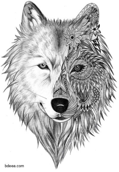 رسمة حيوان ذئب مميزة وزخارف ورود Grey wolf with floral