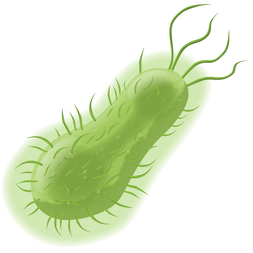 صورة بكتيريا لون اخضر رسوم ثري دي بدون خلفية Bacteria PNG