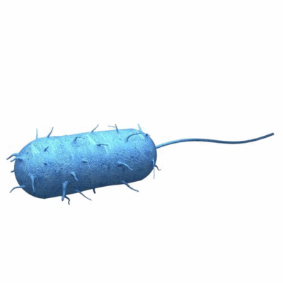 صورة بكتيريا كائن حي دقيق لون ازرق ثري دي بدون خلفية Bacteria PNG