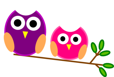 صورة كرتون بومتين ملونتين عالية الدقة Owl colorful png