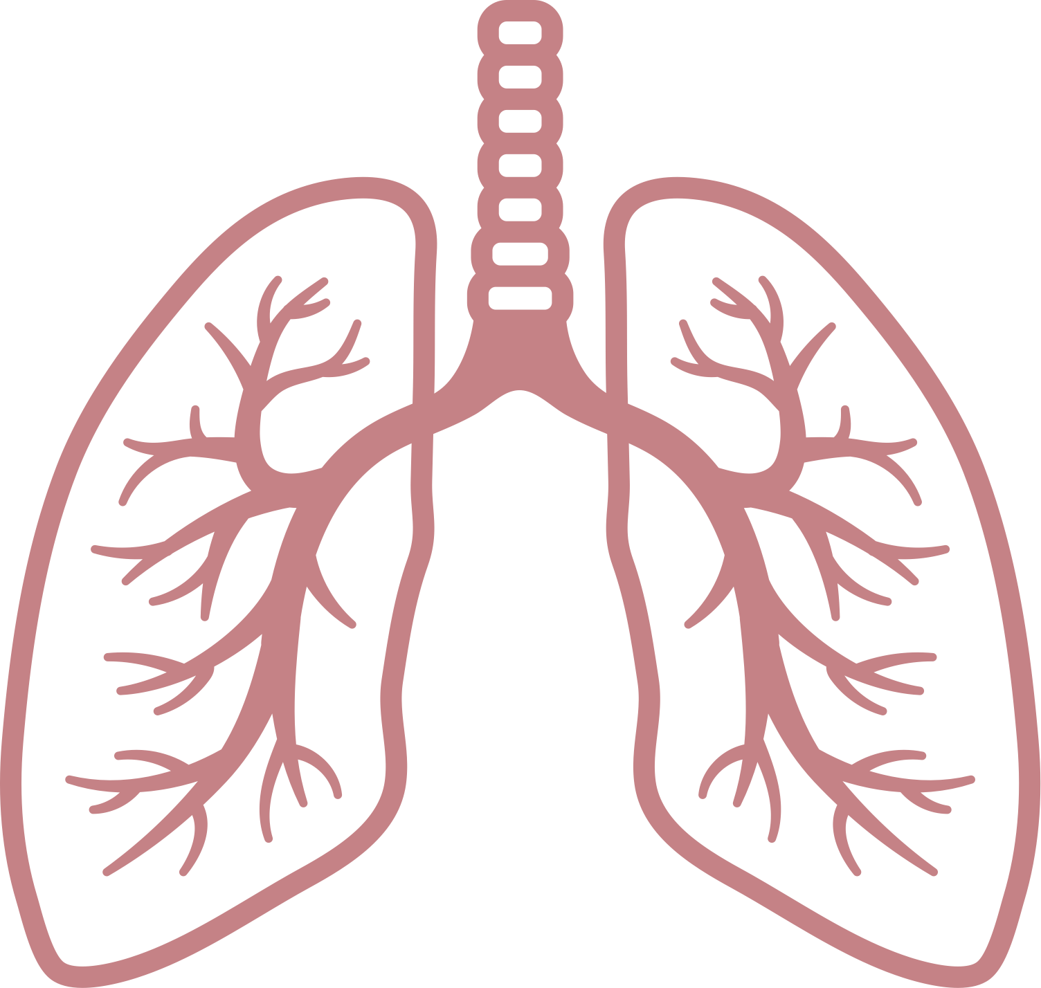 ايقونة رئتين شكل رئة انسان اجزاء الجسم بدون خلفية Lungs PNG