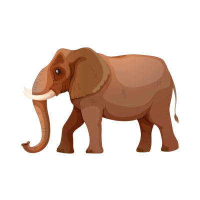 صورة فيل بني كرتون رسوم عالي الدقة Brown Zoo Elephant PNG