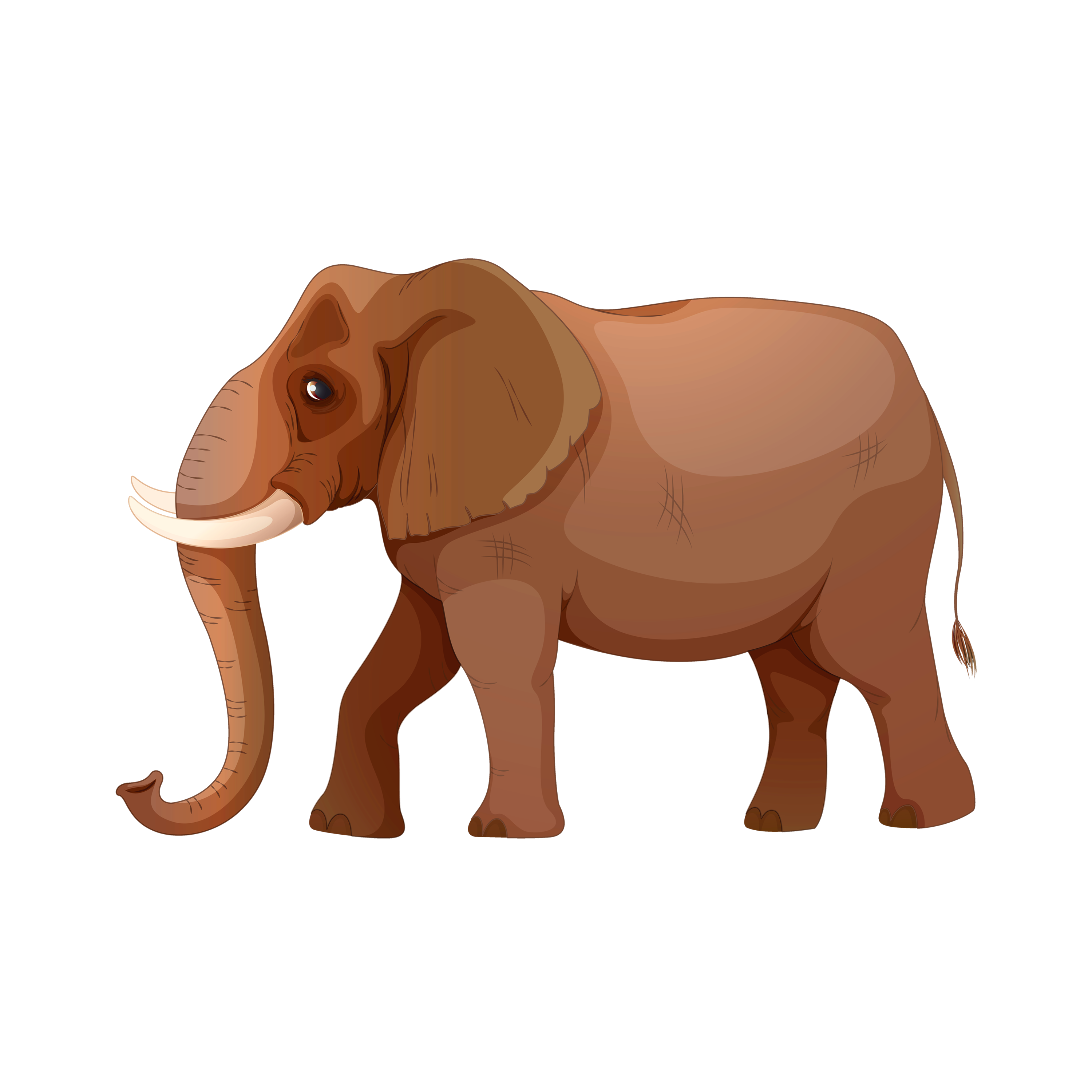 صورة فيل بني كرتون رسوم عالي الدقة Brown Zoo Elephant PNG