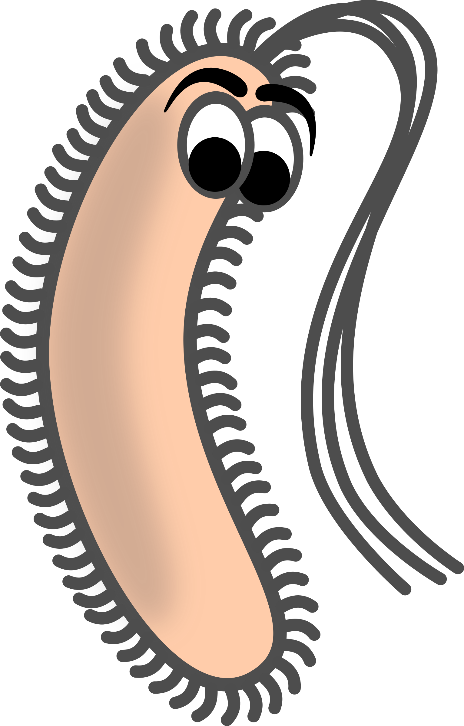 صورة بكتيريا كرتون شكل بكتيريا له عيون تعليمي Bacteria PNG